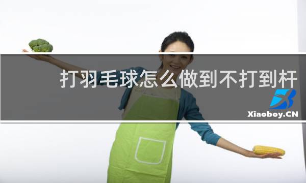 打羽毛球怎么做到不打到杆