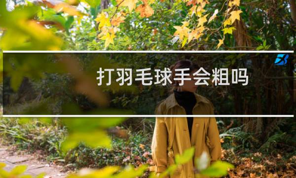 打羽毛球手会粗吗