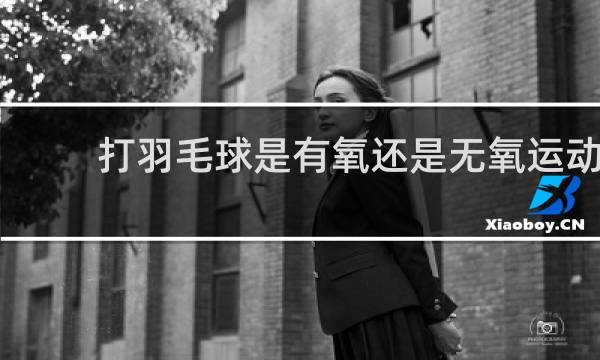 打羽毛球是有氧还是无氧运动
