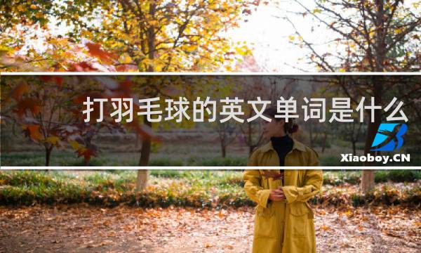 打羽毛球的英文单词是什么