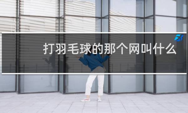 打羽毛球的那个网叫什么