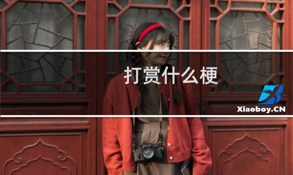 打赏什么梗