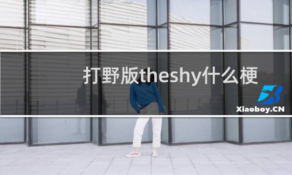 打野版theshy什么梗