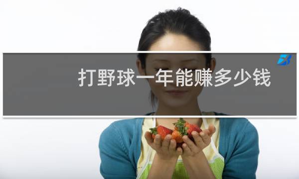 打野球一年能赚多少钱
