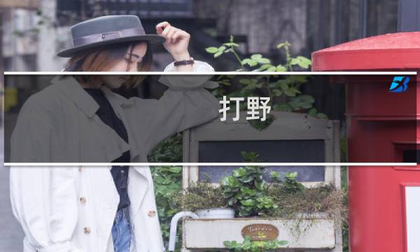 打野（眼）什么梗