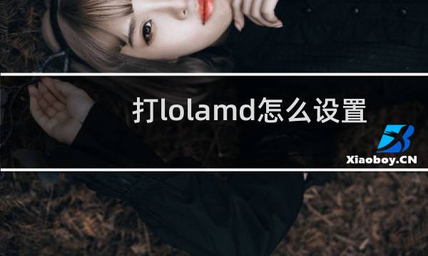 打lolamd怎么设置图片