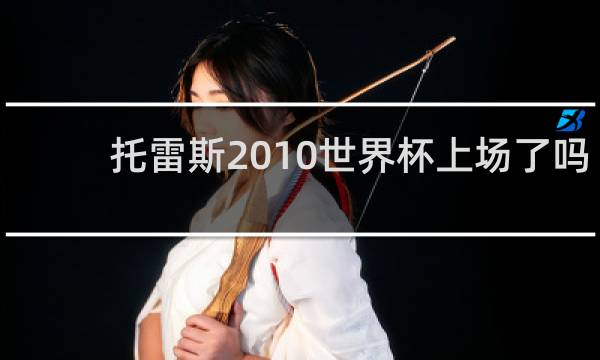 托雷斯2010世界杯上场了吗