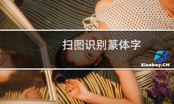 扫图识别篆体字(扫图地带)