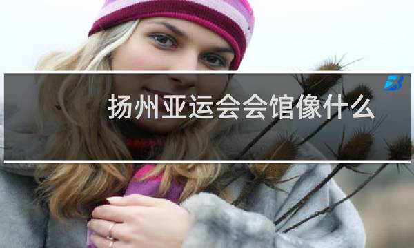 扬州亚运会会馆像什么