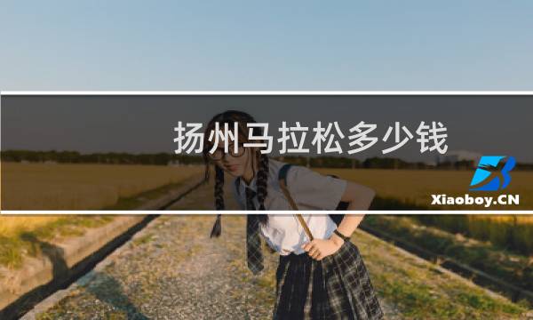 扬州马拉松多少钱