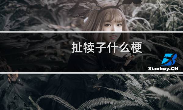 扯犊子什么梗