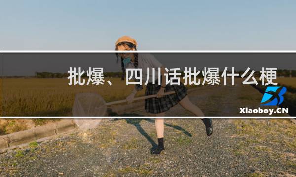 批爆、四川话批爆什么梗