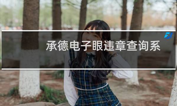 承德电子眼违章查询系统（承德电子眼违章查询）图片