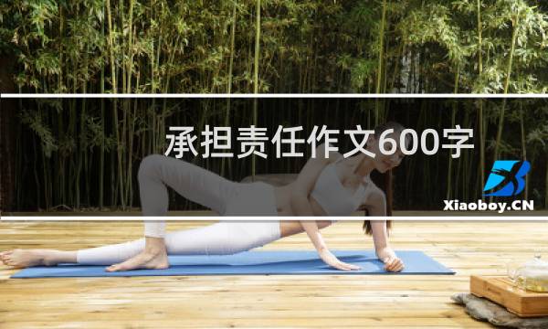 承担责任作文600字记叙文（承担责任作文）图片