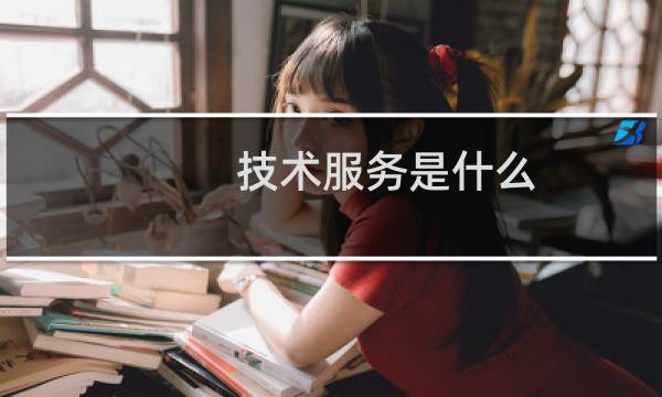 技术服务是什么