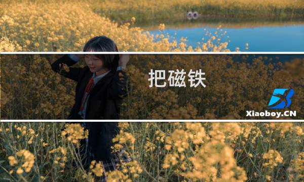 把磁铁