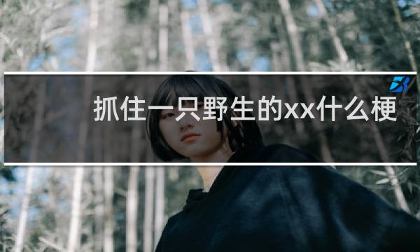 抓住一只野生的xx什么梗？抓住一只野生的xx是什么意思什么梗
