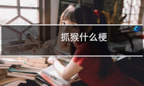 抓猴什么梗