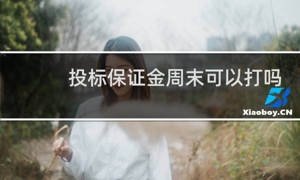 投标保证金周末可以打吗