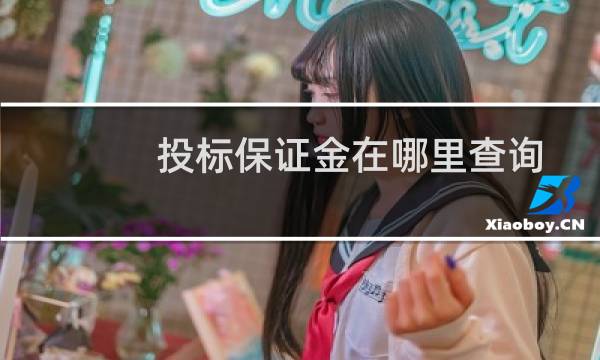 投标保证金在哪里查询