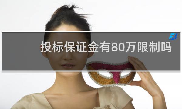 投标保证金有80万限制吗