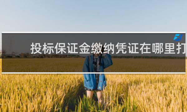 投标保证金缴纳凭证在哪里打