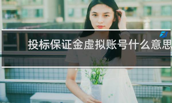 投标保证金虚拟账号什么意思