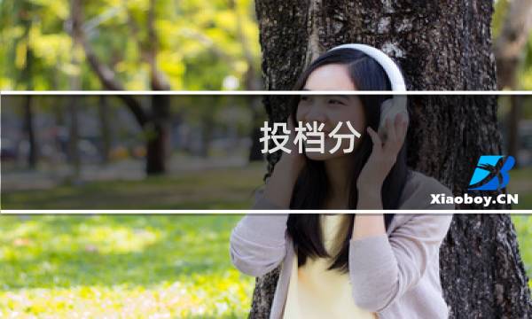 投档分