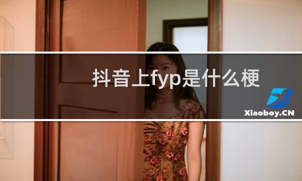 抖音上fyp是什么梗