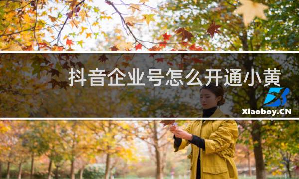 抖音企业号怎么开通小黄车