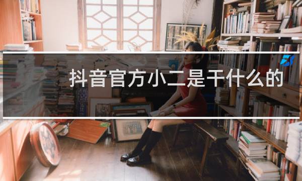 抖音官方小二是干什么的