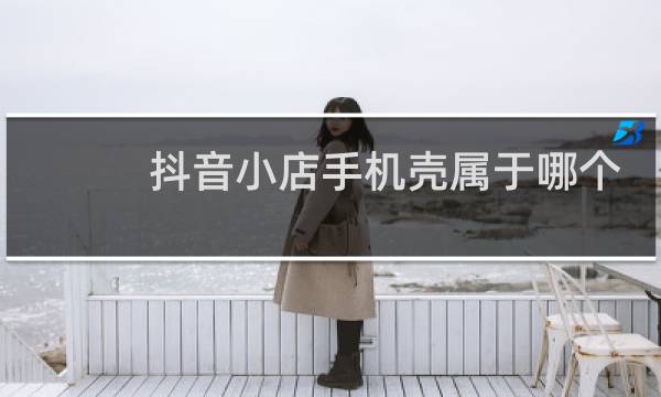 抖音小店手机壳属于哪个类目