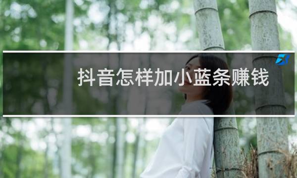 抖音怎样加小蓝条赚钱图片