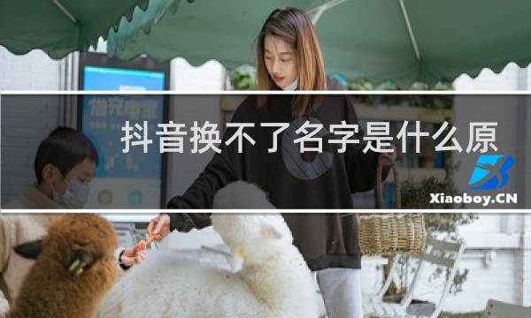 抖音换不了名字是什么原因