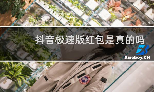 抖音极速版红包是真的吗图片