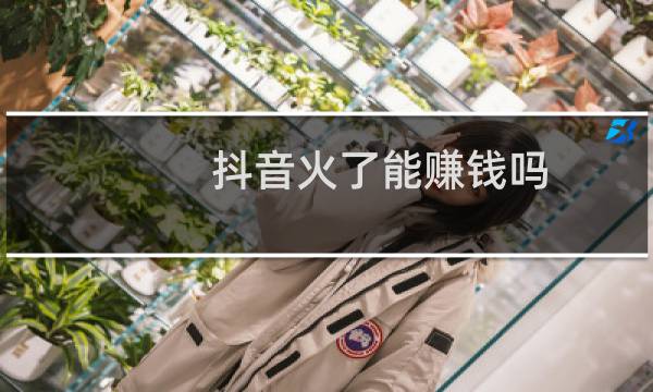 抖音火了能赚钱吗