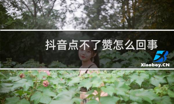 抖音点不了赞怎么回事