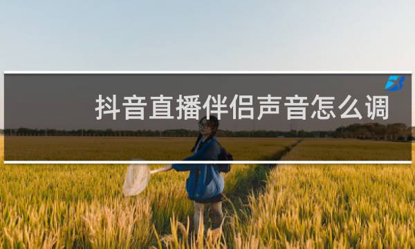 抖音直播伴侣声音怎么调