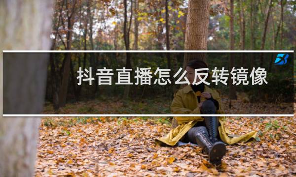 抖音直播怎么反转镜像图片