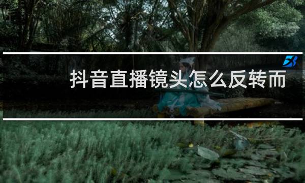 抖音直播镜头怎么反转而且能看到公屏