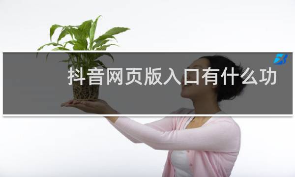 抖音网页版入口有什么功能