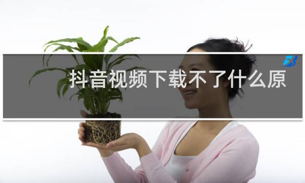 抖音视频下载不了什么原因
