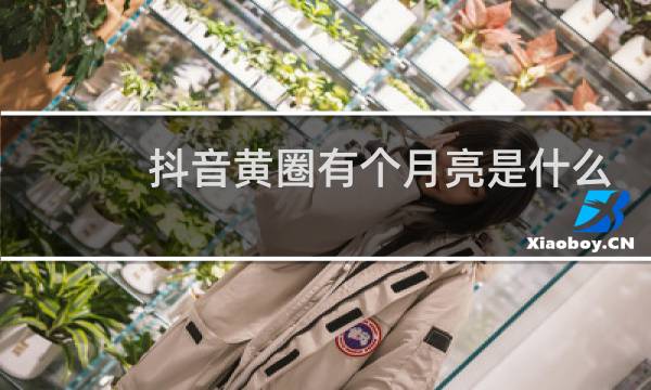 抖音黄圈有个月亮是什么意思图片