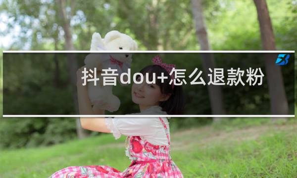 抖音dou+怎么退款粉丝量和点先量哪个好