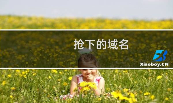 抢下的域名，接下来如何操作？