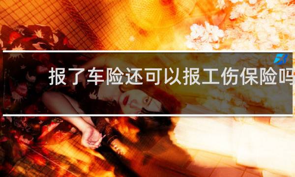报了车险还可以报工伤保险吗