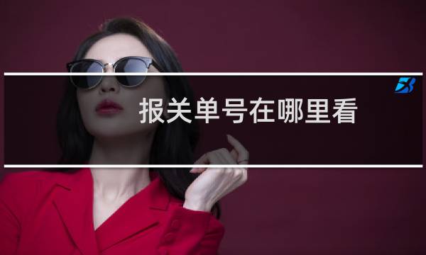 报关单号在哪里看（报关单号）图片