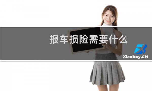 报车损险需要什么