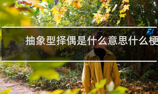 抽象型择偶是什么意思什么梗