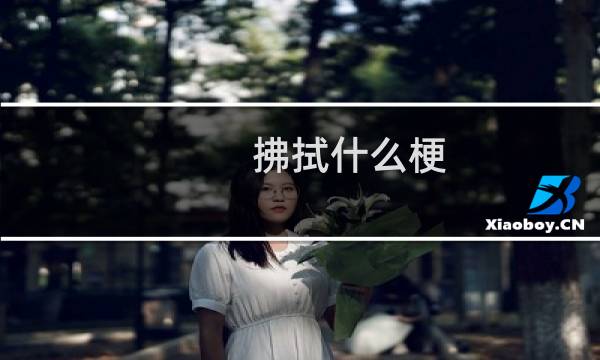 拂拭什么梗